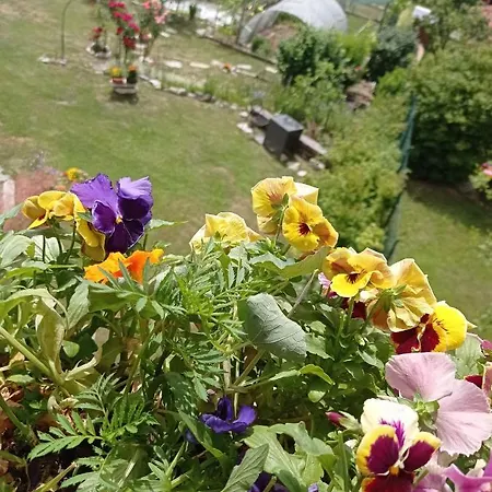 Appartement Vicino A Me Castiglione dʼIntelvi